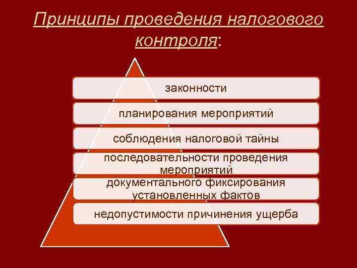 Условия проведения мероприятий налогового контроля в 2024 году