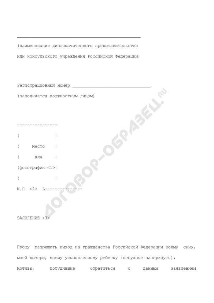 Гражданство РФ: все, что нужно знать